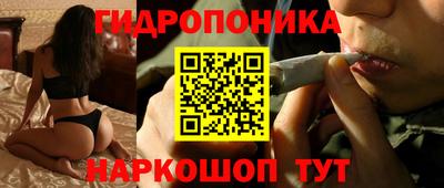 a pvp Будённовск