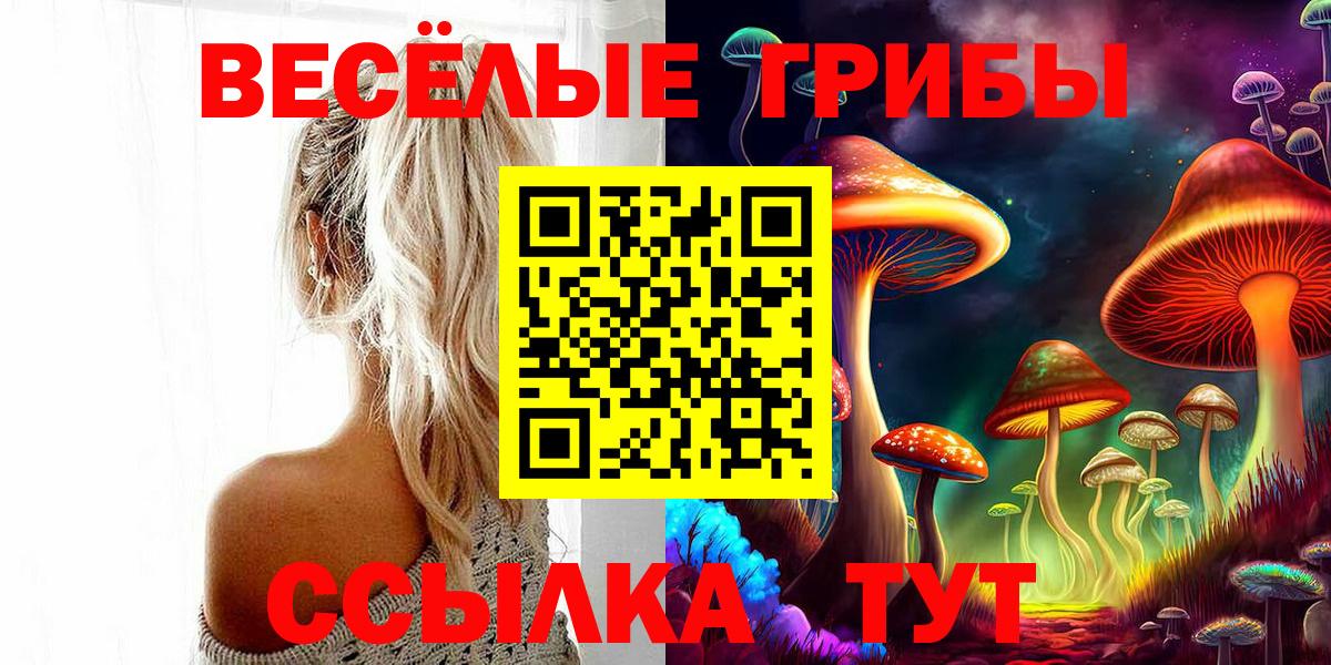 Старая Купавна  Галлюциногенные грибы мицелий  Вход с VPN 