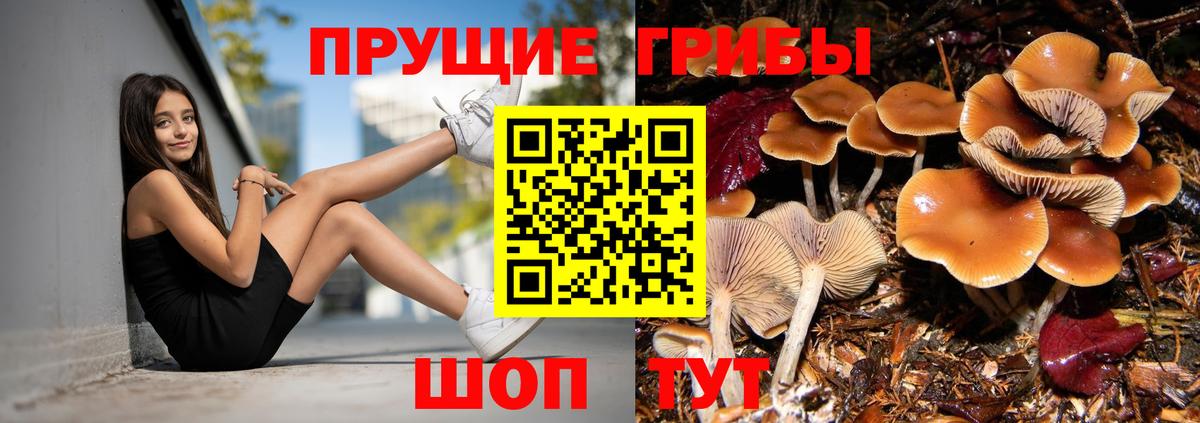 Псилоцибиновые грибы прущие грибы Старая Купавна